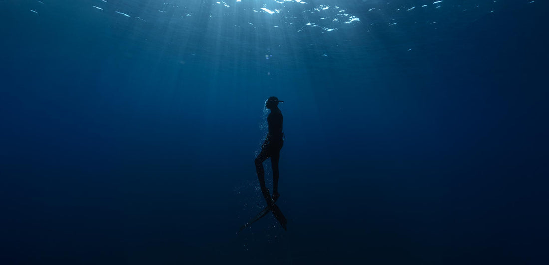 Emotional Stories of People Showing Love to Marine Animals in Need