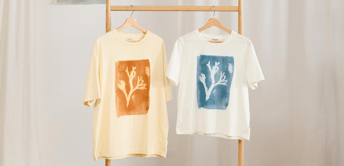 Learn How to Make Organic Seaweed Art